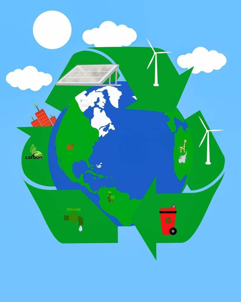 Les start-ups ax&eacute;es sur l’alimentation durable : enjeux et innovations