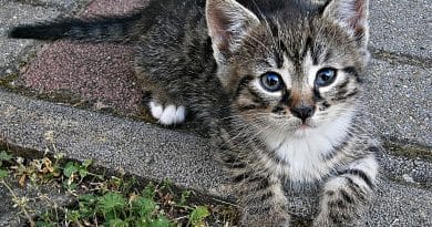 CIC Filbanque : l&rsquo;espace client CIC : guide complet pour mieux g&eacute;rer son compte bancaire