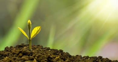 Le protectionnisme &eacute;conomique n&rsquo;a pas toujours emp&ecirc;ch&eacute; la croissance