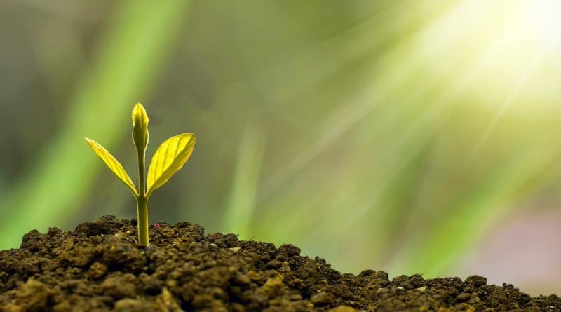 Le protectionnisme &eacute;conomique n&rsquo;a pas toujours emp&ecirc;ch&eacute; la croissance