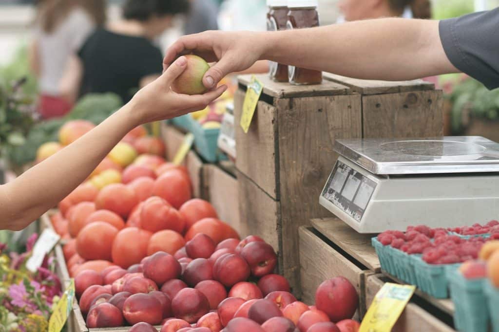 Analyse de l’entrepreneuriat dans les secteurs du tourisme, de l’h&ocirc;tellerie et de la restauration : les tendances cl&eacute;s &agrave; suivre