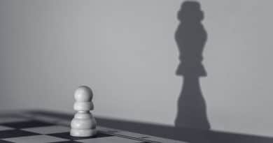 Strat&eacute;gies pour r&eacute;ussir sa carri&egrave;re : du demandeur d’emploi au gardien de l’emploi