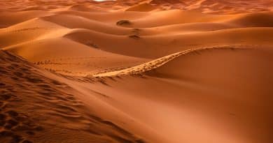 Qu&rsquo;est-ce qu&rsquo;un post bad ?