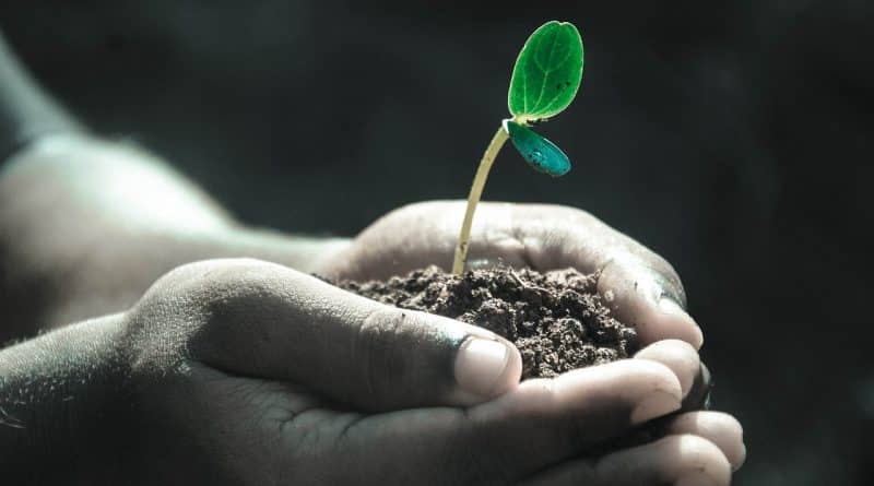 Trouver l’&eacute;quilibre entre vie professionnelle et &eacute;panouissement personnel