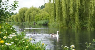 La Loire armoricaine : un &eacute;quilibre entre la croissance et la pr&eacute;servation de ce majestueux fleuve