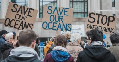 Unoc 3 : les pressions des lobbys de la p&ecirc;che face &agrave; la pr&eacute;servation des oc&eacute;ans