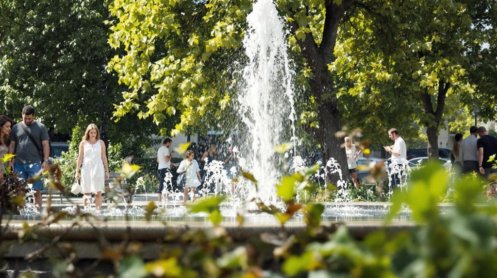 Exploration des quatre chiffres cl&eacute;s r&eacute;v&eacute;lateurs de l’impact de la canicule en France
