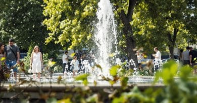 Exploration des quatre chiffres cl&eacute;s r&eacute;v&eacute;lateurs de l’impact de la canicule en France