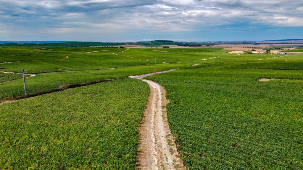 Pourquoi la r&eacute;gion Sud Champagne est-elle une terre d’opportunit&eacute;s pour les entreprises ?