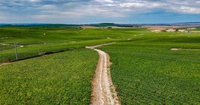 Pourquoi la r&eacute;gion Sud Champagne est-elle une terre d’opportunit&eacute;s pour les entreprises ?