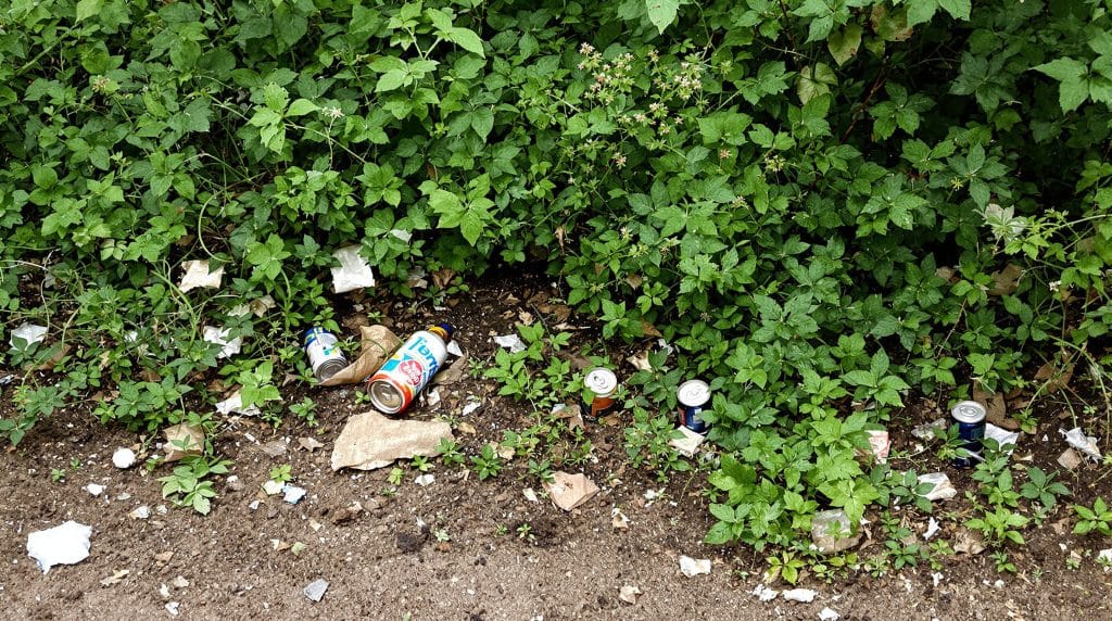000 milliards d’euros de subventions publiques : un impact d&eacute;vastateur sur la biodiversit&eacute;