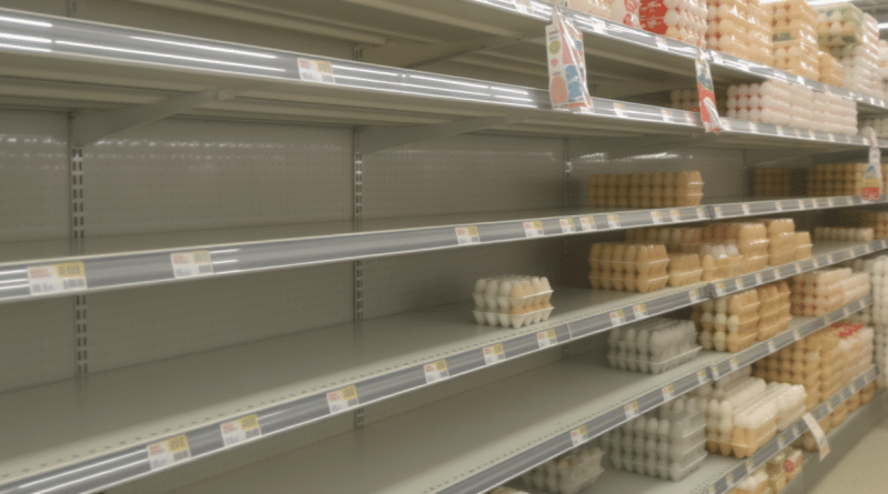 &OElig;ufs en rupture : comment des rayons vides cachent une production pourtant constante