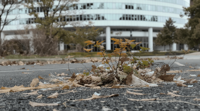 NAT40 : Le barom&egrave;tre du CAC40 r&eacute;v&egrave;le le retard des entreprises face aux enjeux de la nature et de la biodiversit&eacute;
