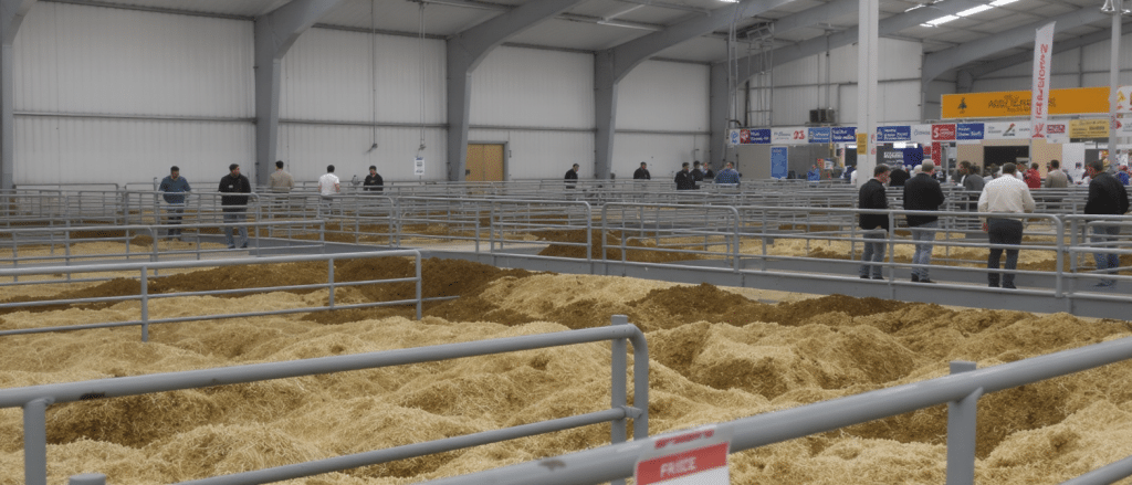 Salon de l’agriculture 2026 : entre vaches absentes, controverse autour de la loi Duplomb et batailles sur les prix, cinq d&eacute;fis majeurs &agrave; suivre
