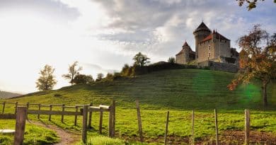 5 conseils pour bien organiser un s&eacute;minaire au vert