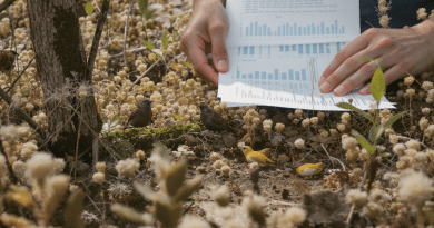 Cr&eacute;dits biodiversit&eacute; : Vers un cadre renforc&eacute; pour stimuler un financement dynamique