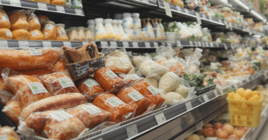 Eco-score, Green-score, Planet-score : le duel des labels &eacute;cologiques pour guider vos choix alimentaires