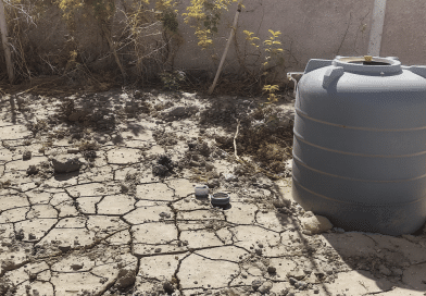 S&eacute;cheresse et canicule : vers une eau de demain enti&egrave;rement recycl&eacute;e