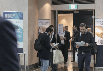 COP17 sur la Biodiversit&eacute;, COP31 Climat et la Conf&eacute;rence mondiale de l’eau : le programme incontournable de la rentr&eacute;e