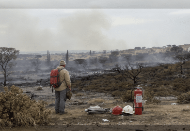 Incendies en Gironde : comment les disparit&eacute;s climatiques menacent le droit &agrave; la protection civile
