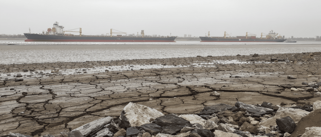 Rhin, Danube et autres fleuves europ&eacute;ens en crise : quand la s&eacute;cheresse menace l&rsquo;&eacute;conomie
