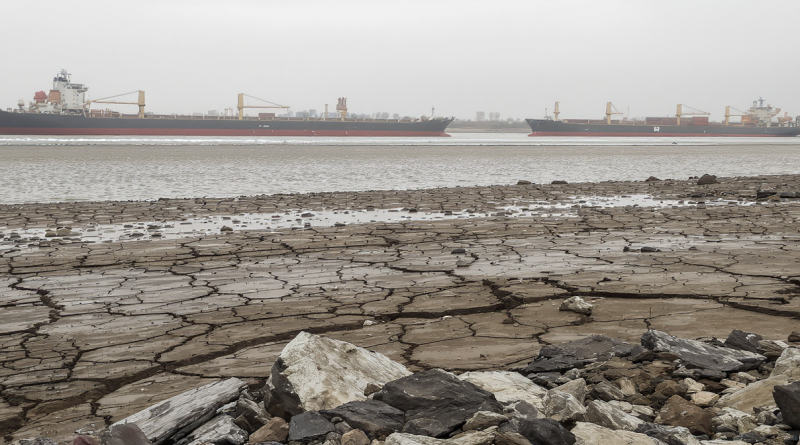 Rhin, Danube et autres fleuves europ&eacute;ens en crise : quand la s&eacute;cheresse menace l&rsquo;&eacute;conomie